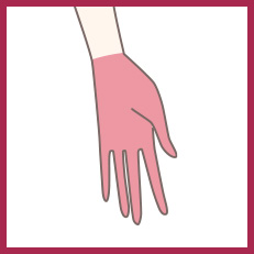 手の平・手の指